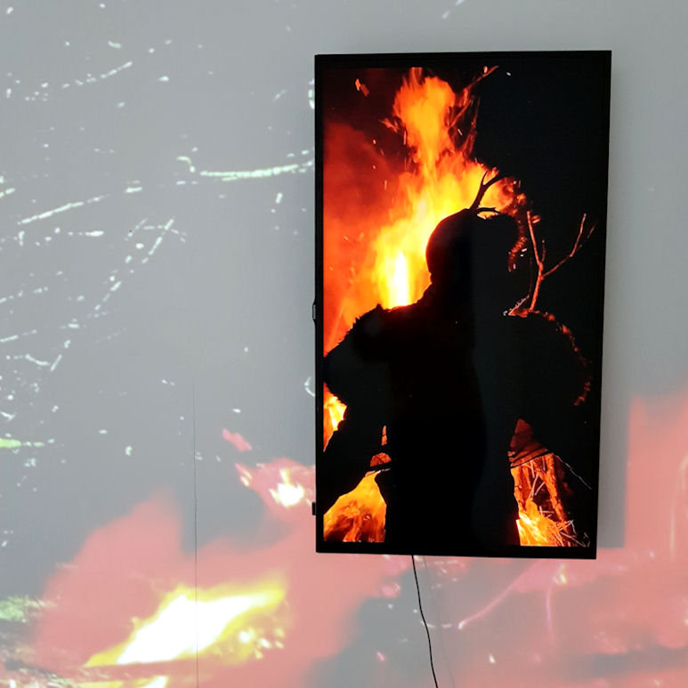 Photo : Émilie Meillaud, DNA option Art, 2021