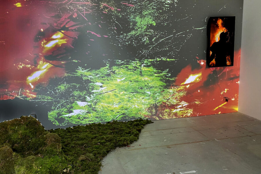 Photo : Émilie Meillaud, DNA option Art, 2021