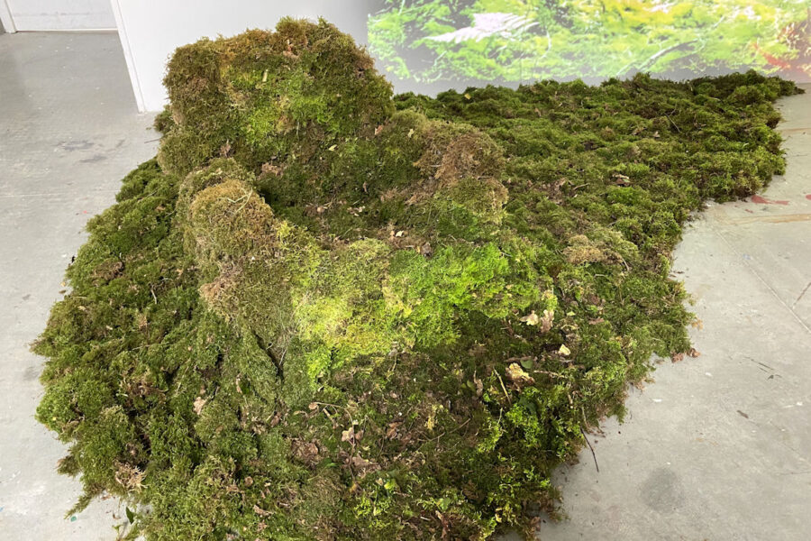 Photo : Émilie Meillaud, DNA option Art, 2021