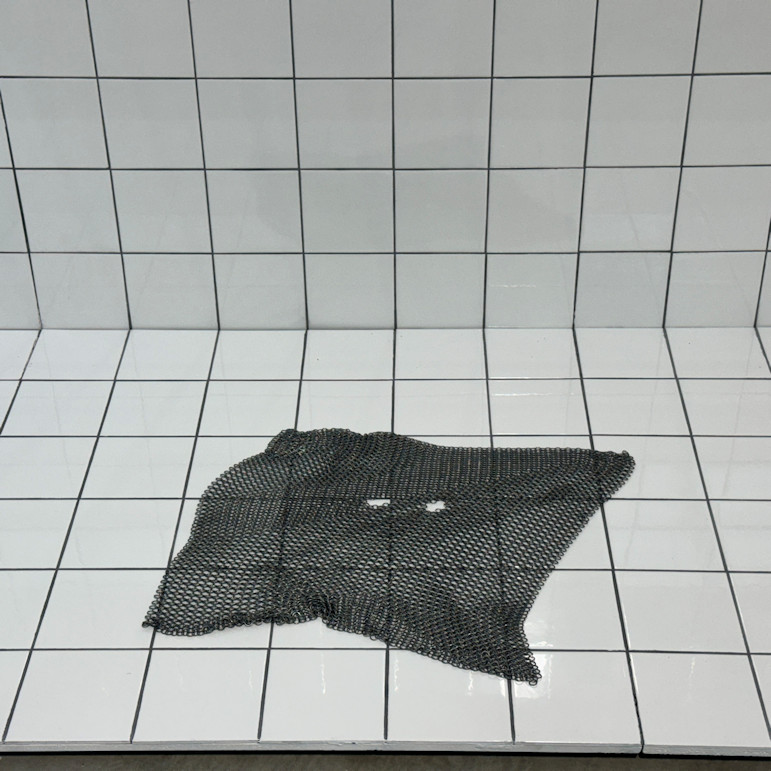 Photo : Estelle Majani, DNSEP option Art, 2024