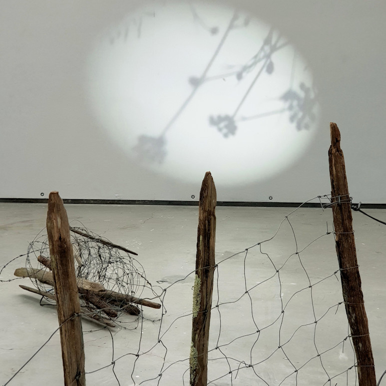 Photo : Lucile Leloup, DNSEP option Art, 2024