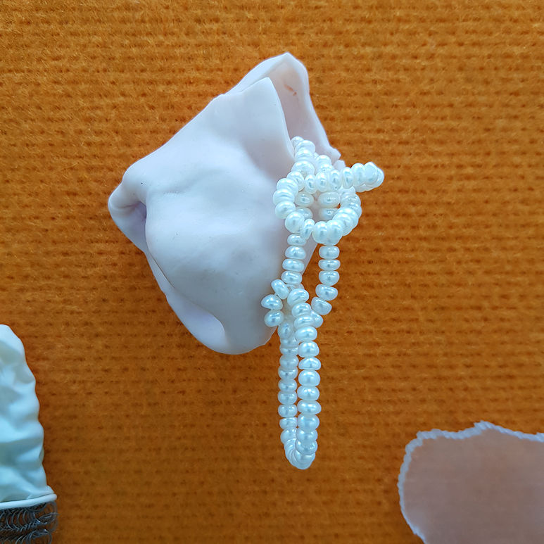 Cécile Flory, DNSEP option Art, 2021