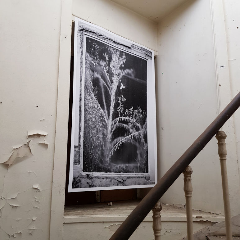 Photo : Véronique Framery, MissV, DNSEP option Art, 2021
