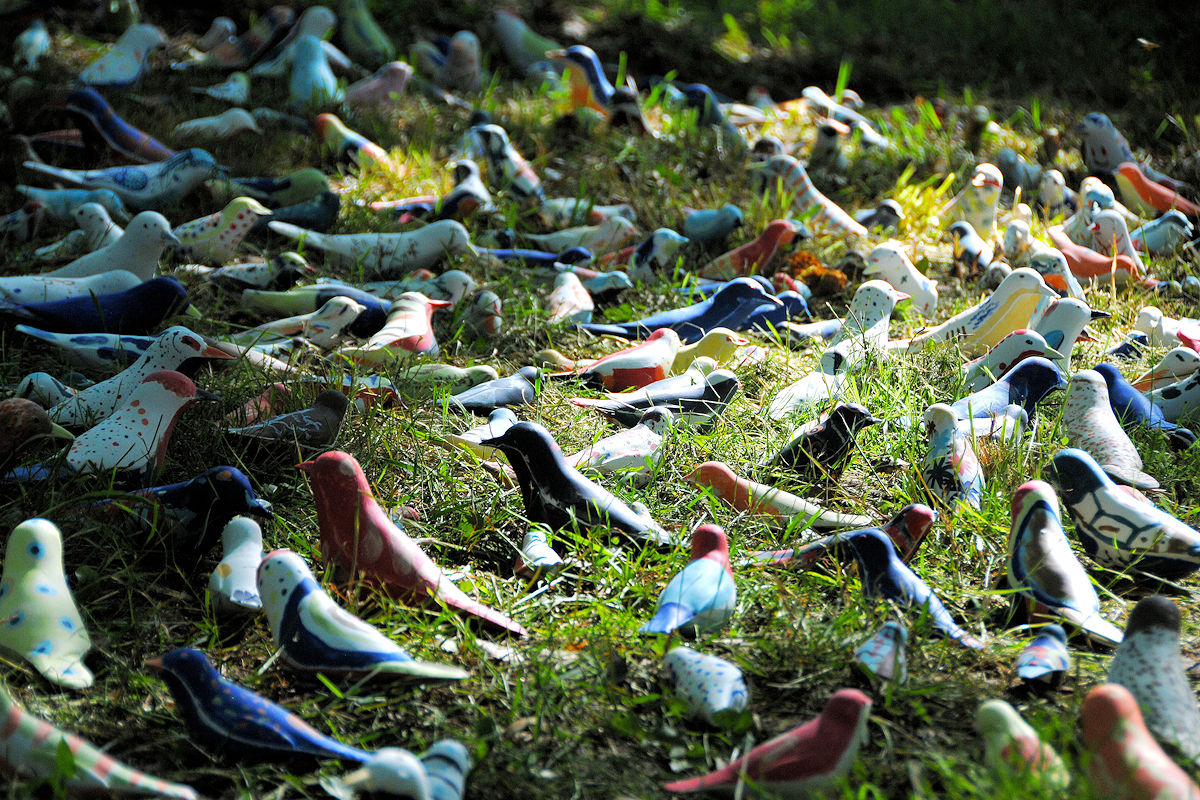 Photo : commémoration du 9 juin à Tulle - Les oiseaux de Shuling Liu et Matéo Clausse