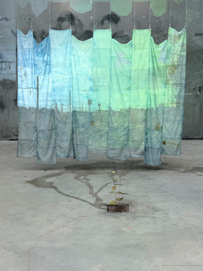 Photo : Juliane Fath, DNSEP option art 2026