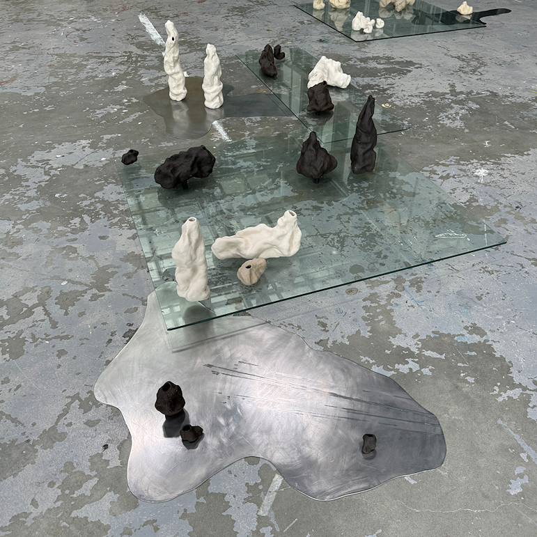 Photo : Leticia De Souza Bueno, DNSEP option Art, 2024
