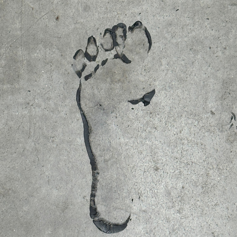 Photo : Seoyeon Choi, DNA option Art, 2024