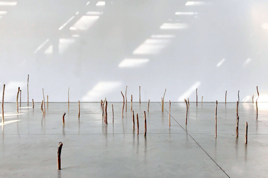 Photo : Shuling Liu, DNSEP option Art, 2019