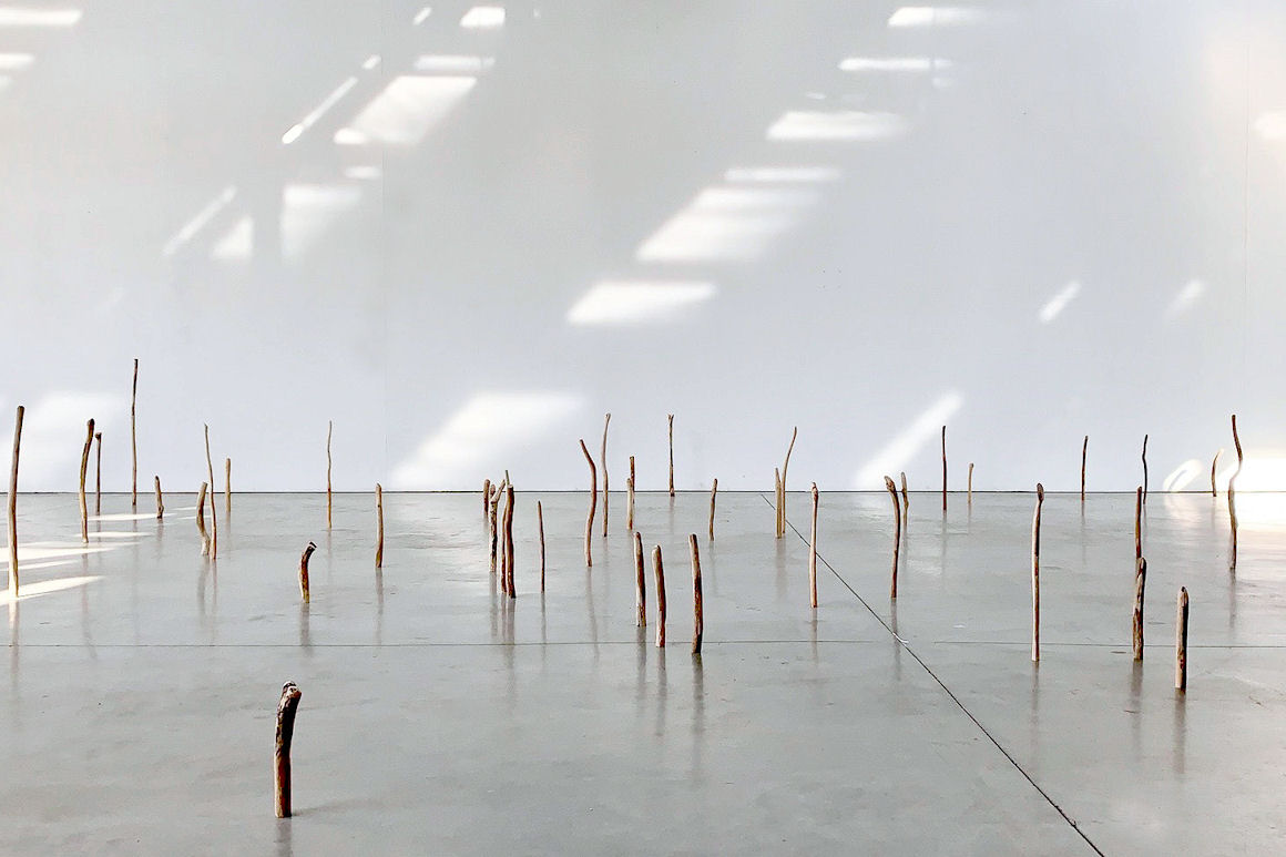 Photo : Shuling Liu, DNSEP option Art, 2019