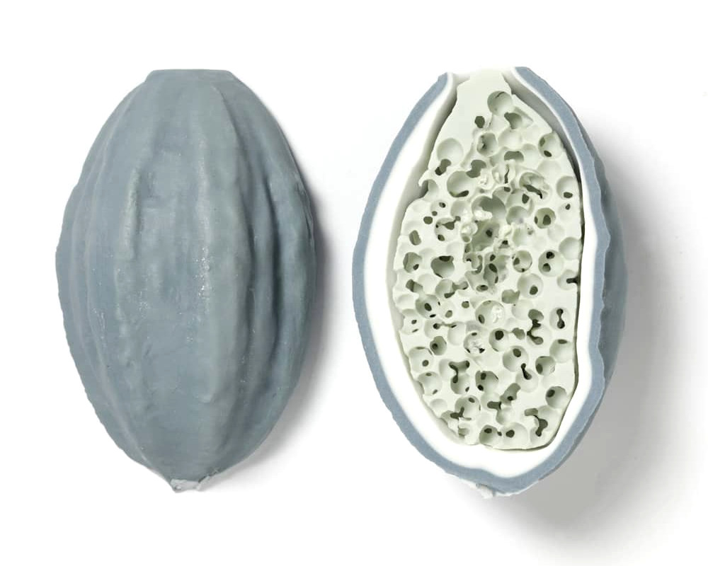 Photo : Strange Seeds / Xénomorphe - Porcelaine. Camille Reidt