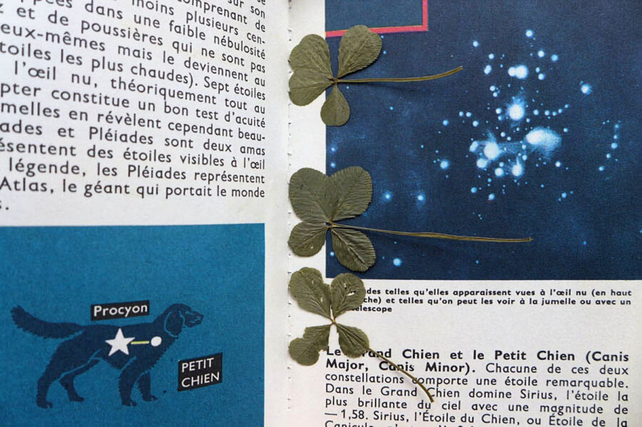 Photo : Isabelle Braud "Carnets-éditions"