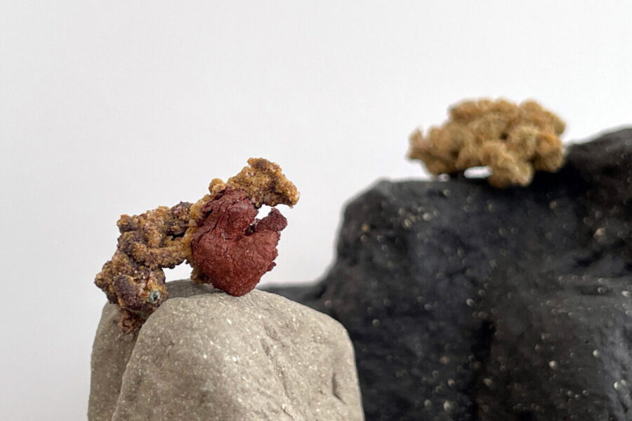 Visuel : Exposition "Aubes souterraines" © Hélène Delépine Visuel : Exposition "Aubes souterraines" © Hélène Delépine