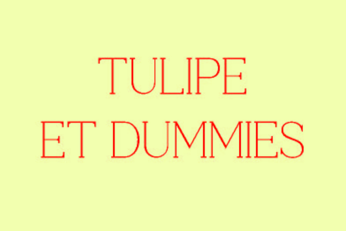 Visuel "Tulipe et Dummies"