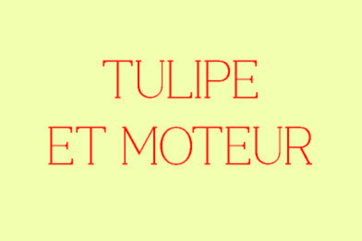 Visuel Tulipe et Moteur