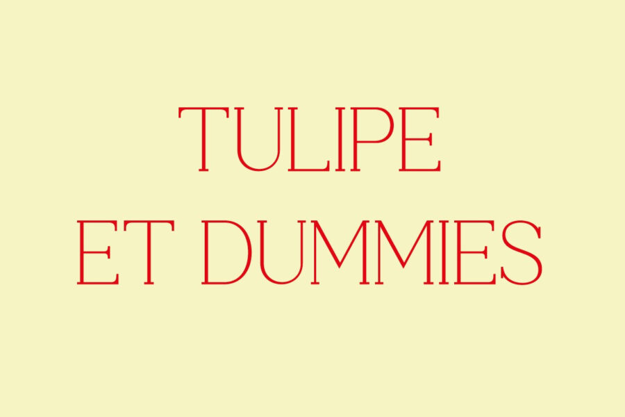 Visuel "Tulipe et Dummies"