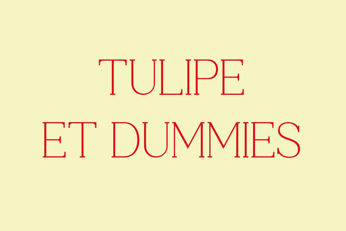 Visuel "Tulipe et Dummies"