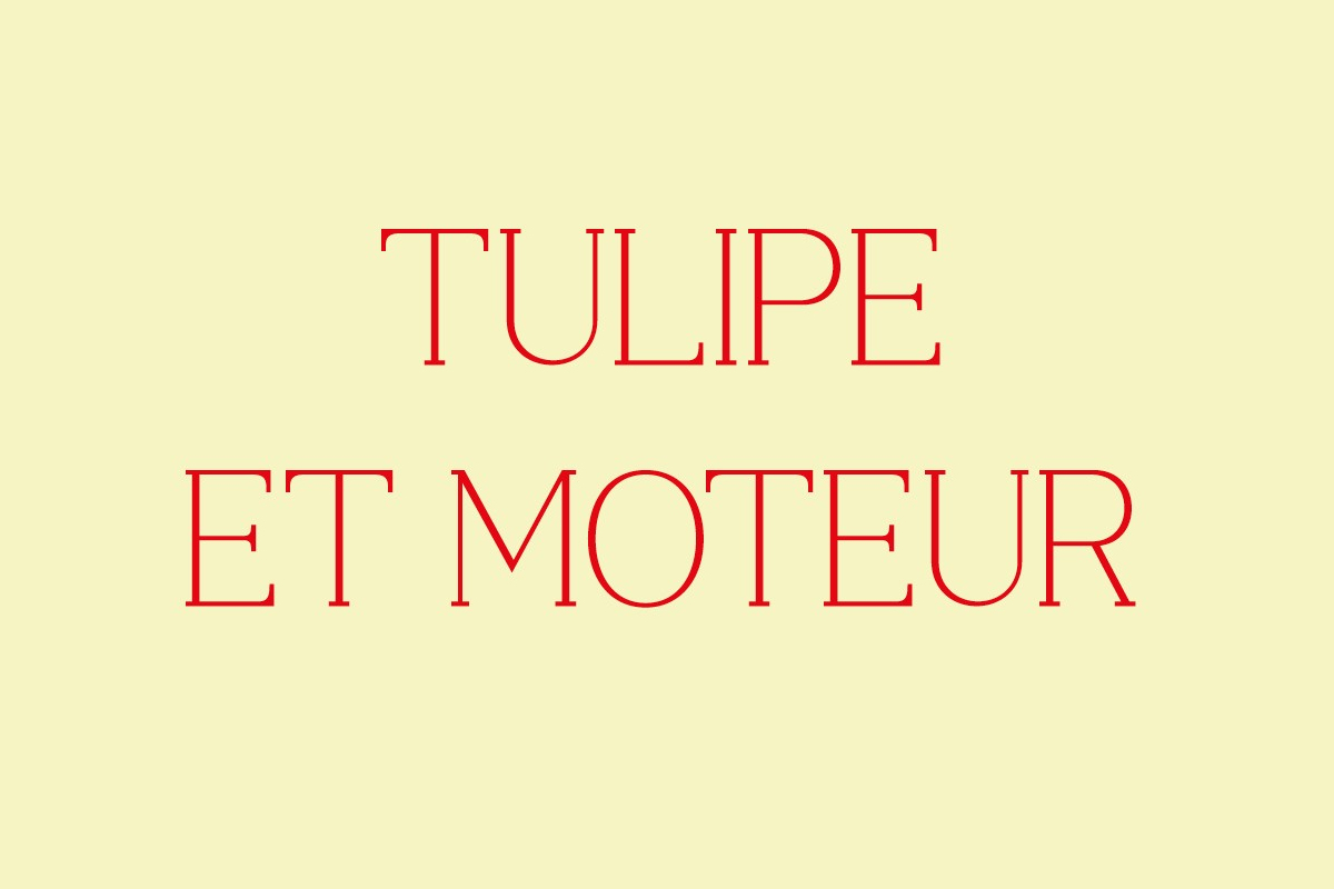 Visuel "Tulipe et Moteur"