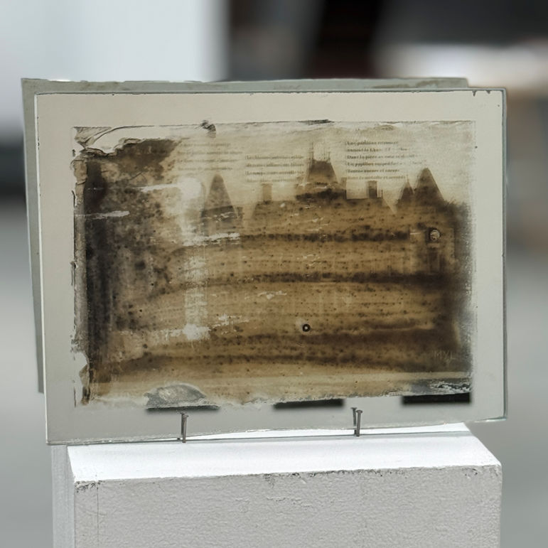 Photo : Fanny Foucaud, DNA art 2025