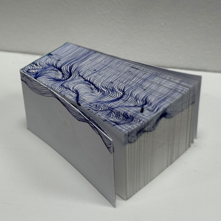 Photo : Leïla Prévot, DNA art 2025