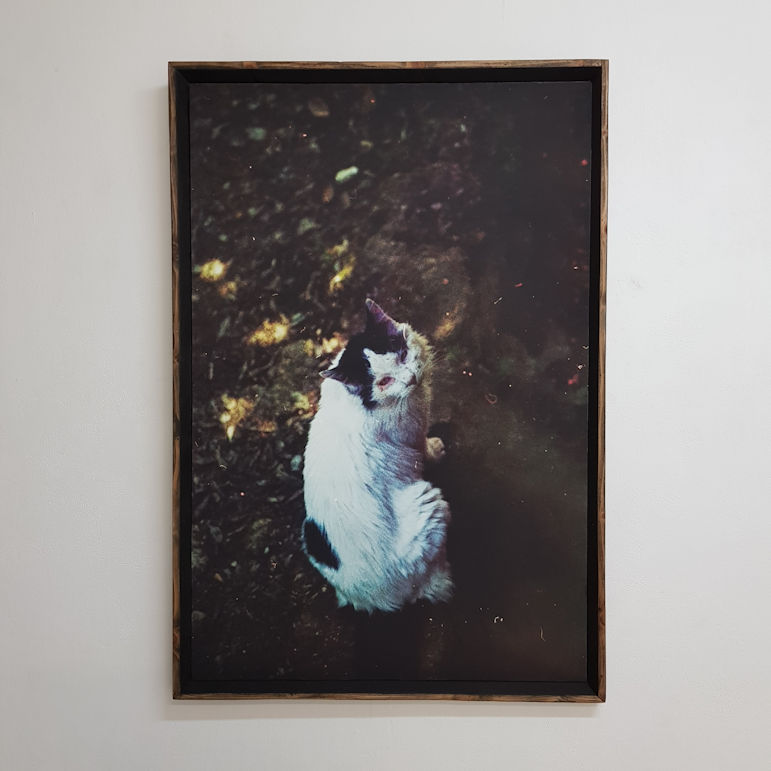 Photo : Swan-Emmanuelle Ohse, DNA art 2025