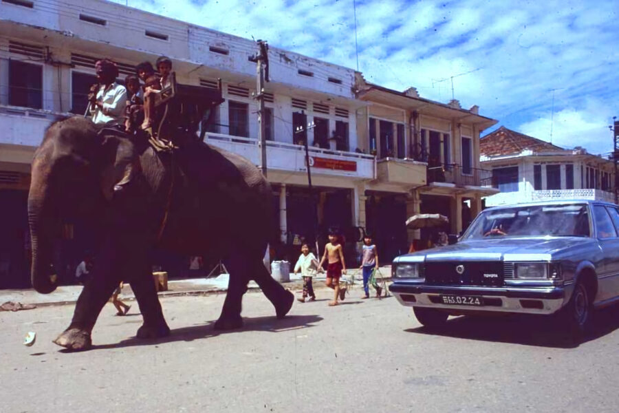 Photo : Cambodge éléphant, Manuel Vimenet