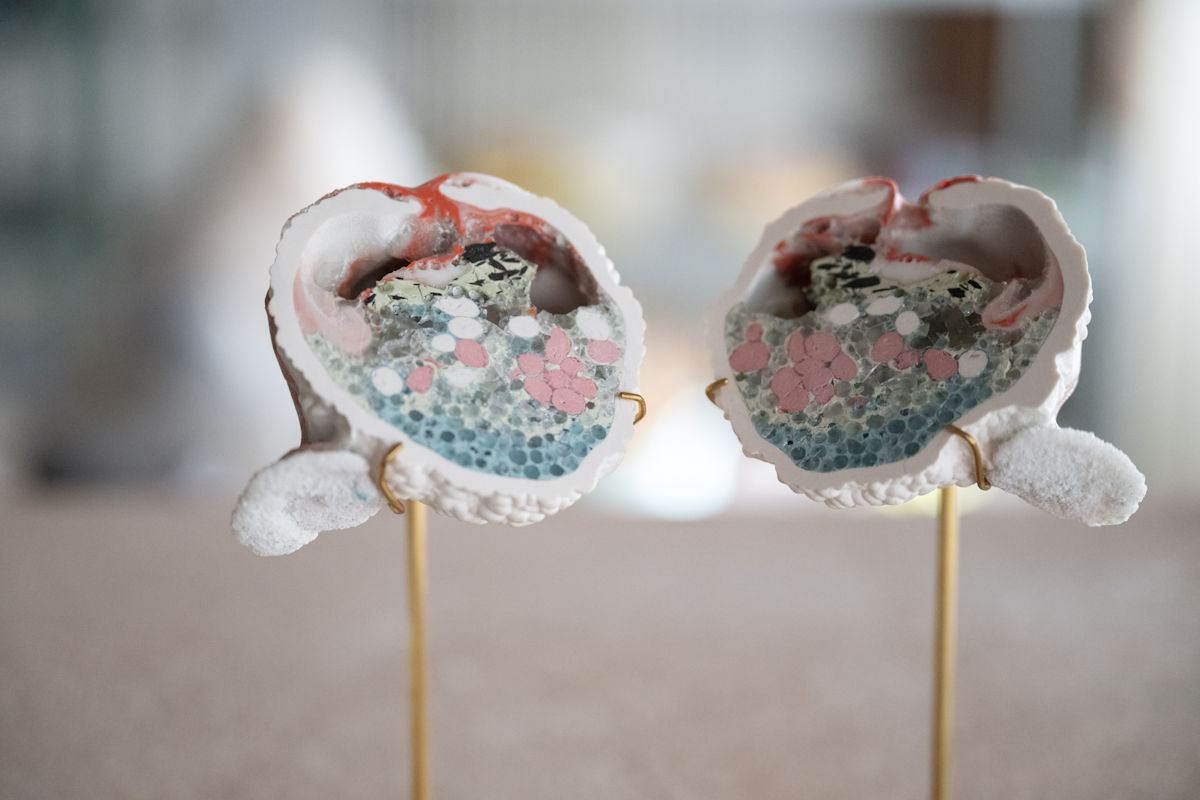 Photo : Strange Seeds / Xénomorphe. Camille Reidt ©Fondation Bruckner