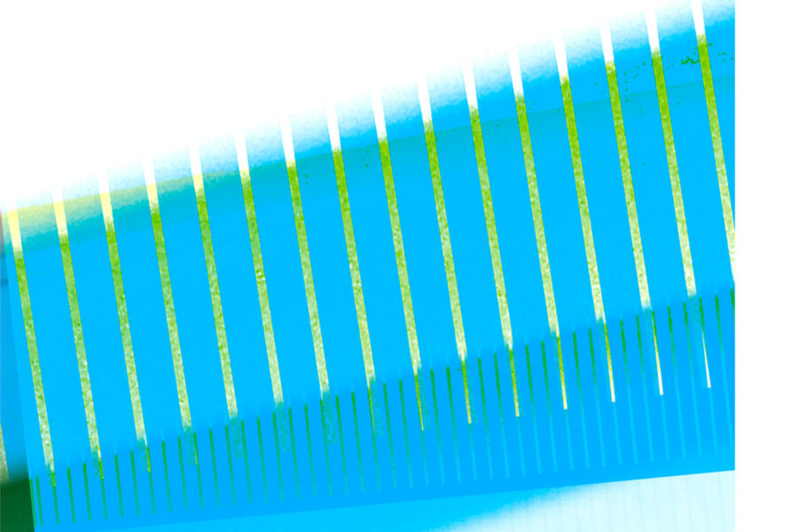 Image : détail de l'affiche Nopoto 25