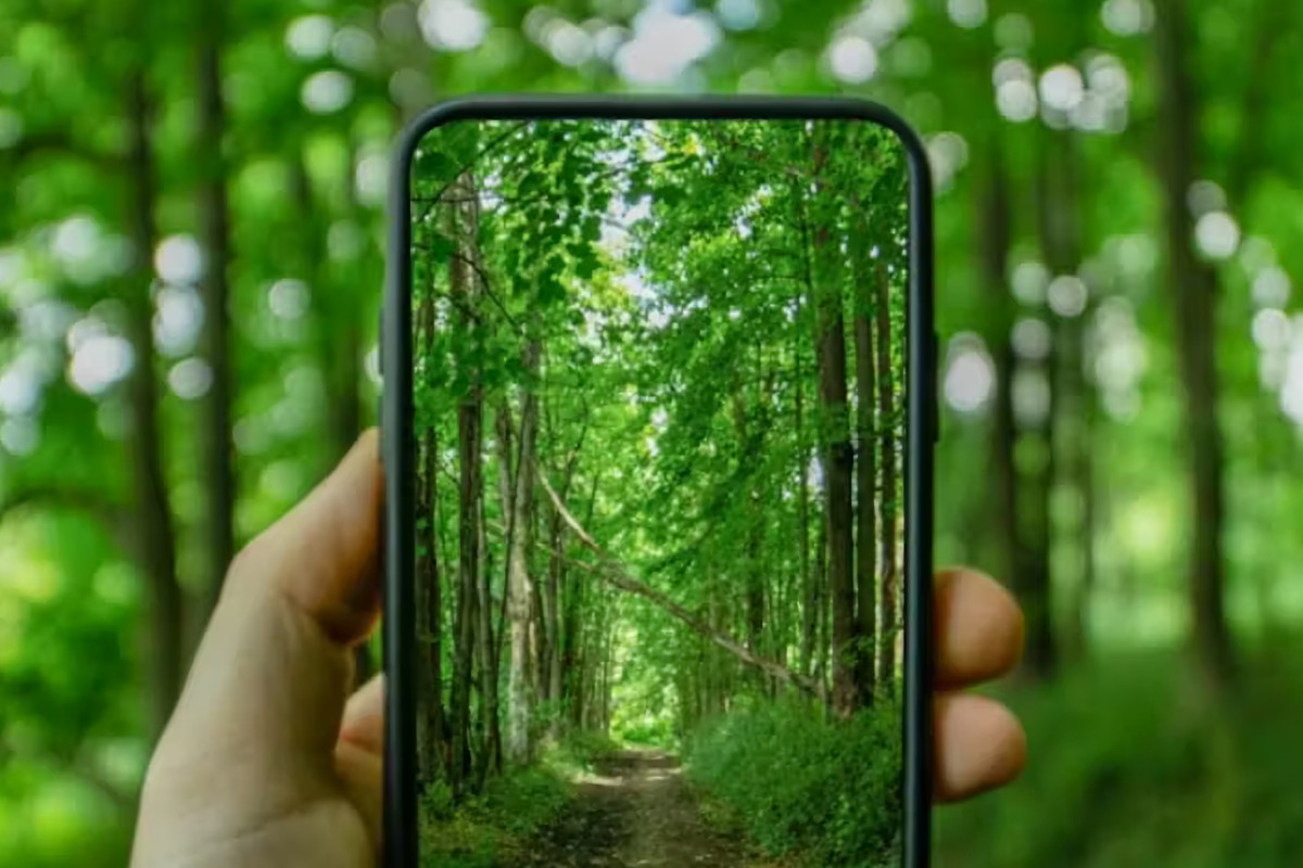 Image : sobriété numérique