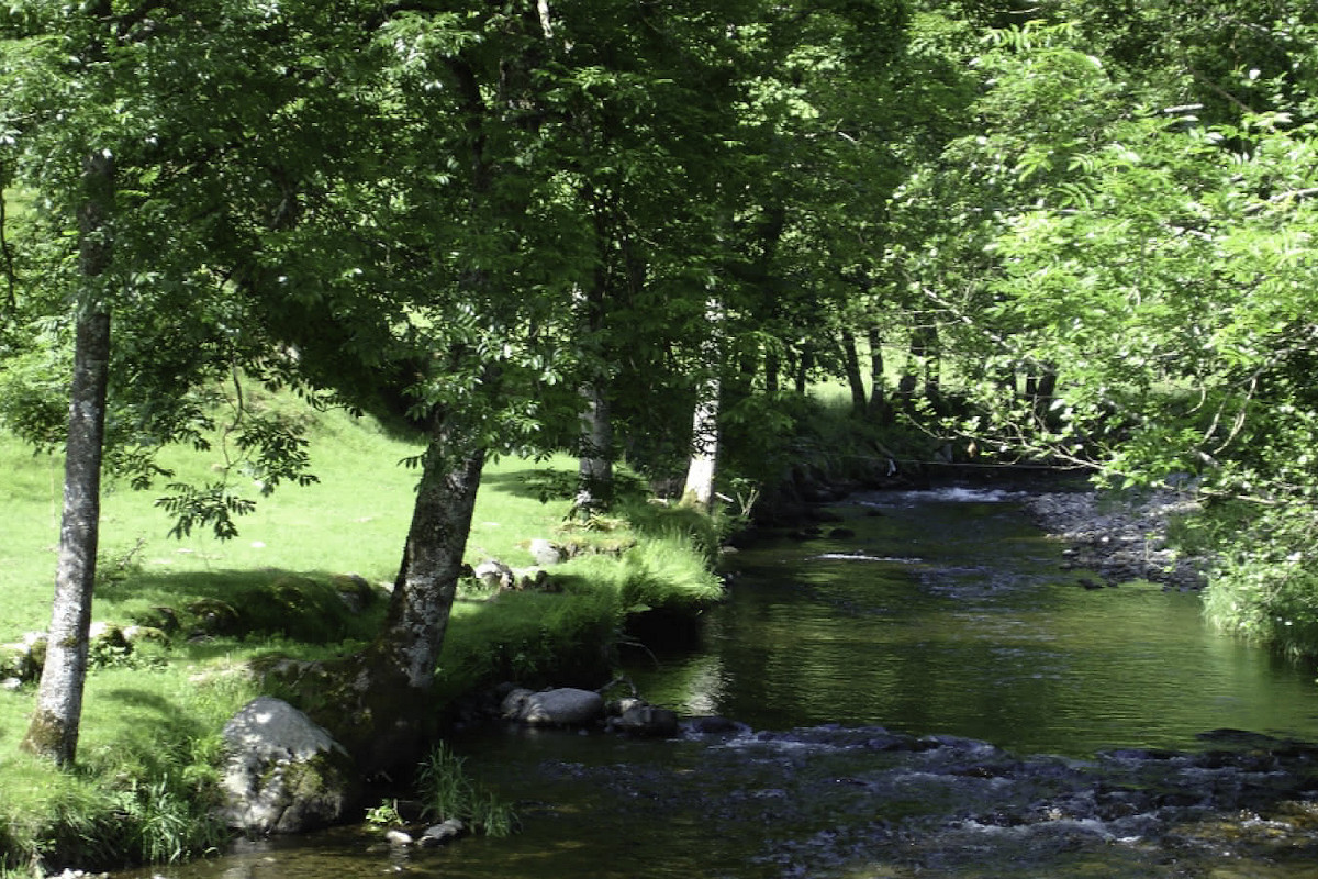 Photo : L'école de la rivière