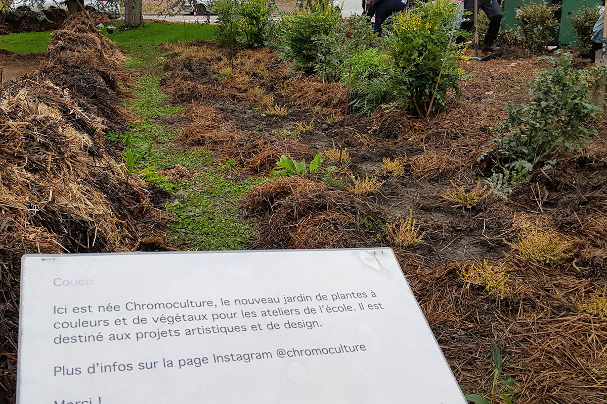 Photo : Plantation des arbres, Jardin "Chromoculture"