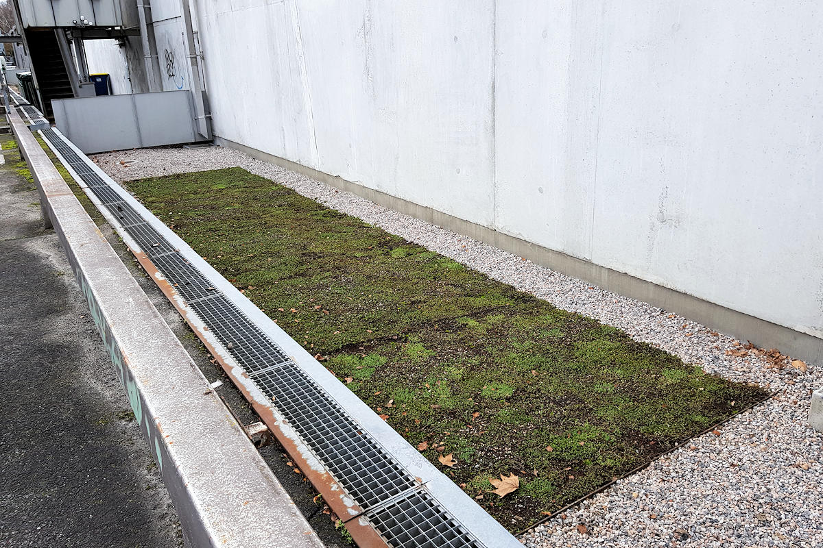 Photo : récupération de l'eau de pluie, façade Est du bâtiment