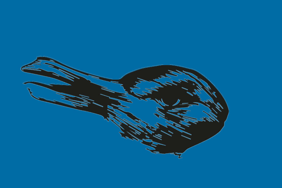 Visuel : exposition Les Peintres-dauphins