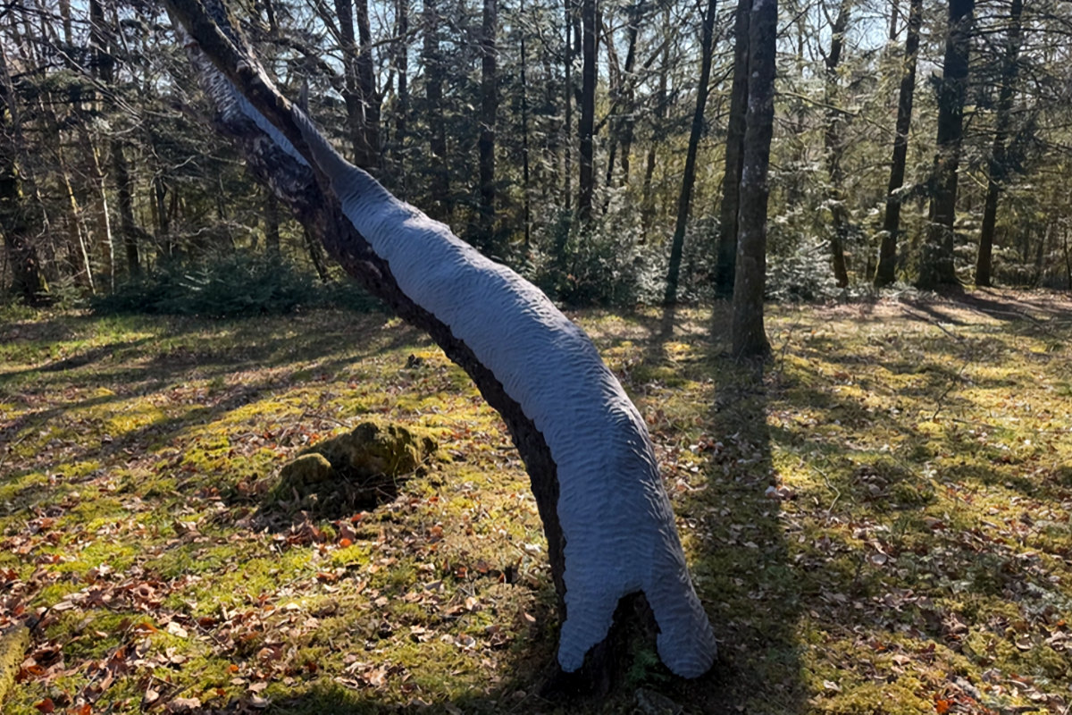 Photo : résidence au CIAP Vassivière, 2026 © Yan Lou