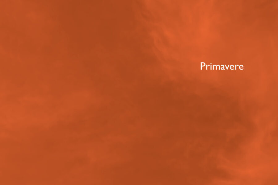 Visuel : détail de l'affiche de l'exposition Primavere