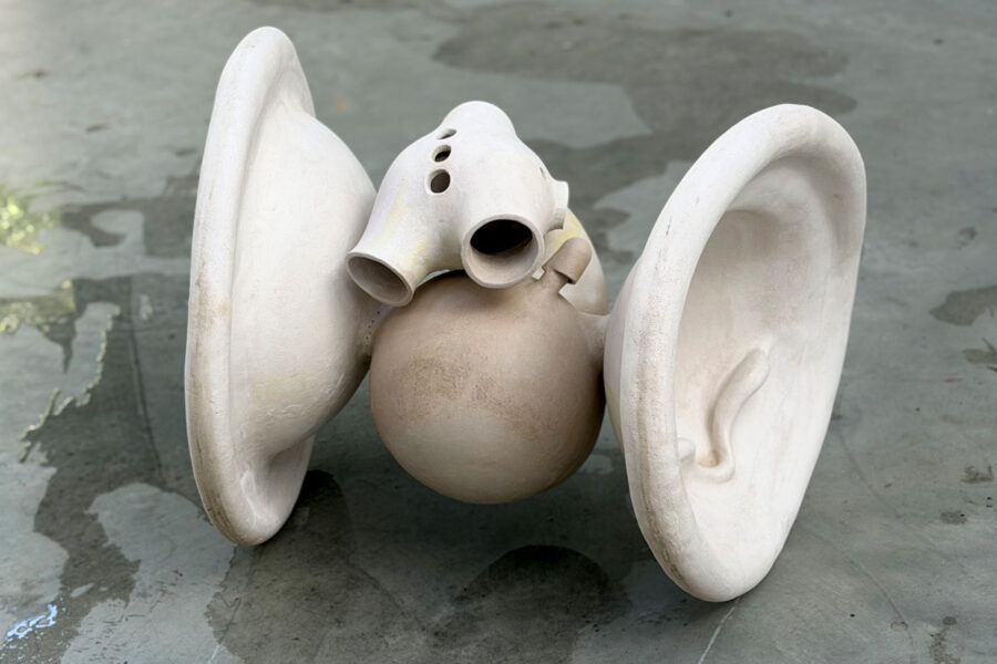 Adèle GERVAISE, DNSEP art 2026