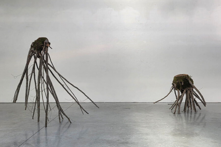 Åsa BLADH, DNSEP art 2026