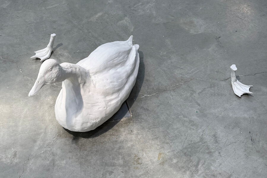 Soledad FLORES KIRASTINNICOS, DNSEP art 2026