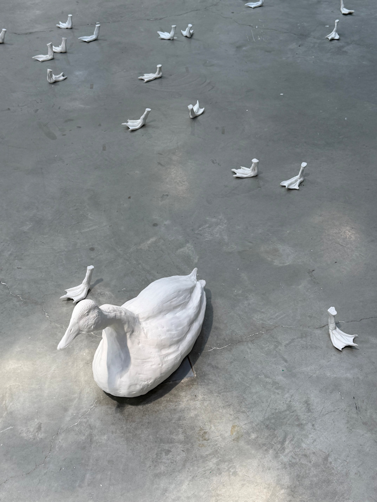 Photo : Soledad Flores Kirastinnicos, DNSEP option art, 2026